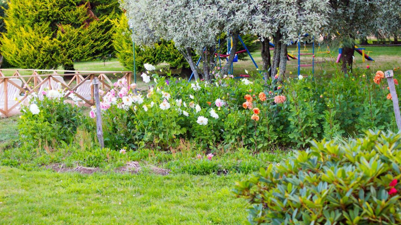 Alojamento Y Molino Viejo Puerto Varas
